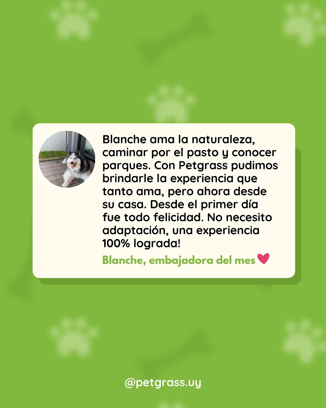 356797557_290528953515098_3543097012258582841_n