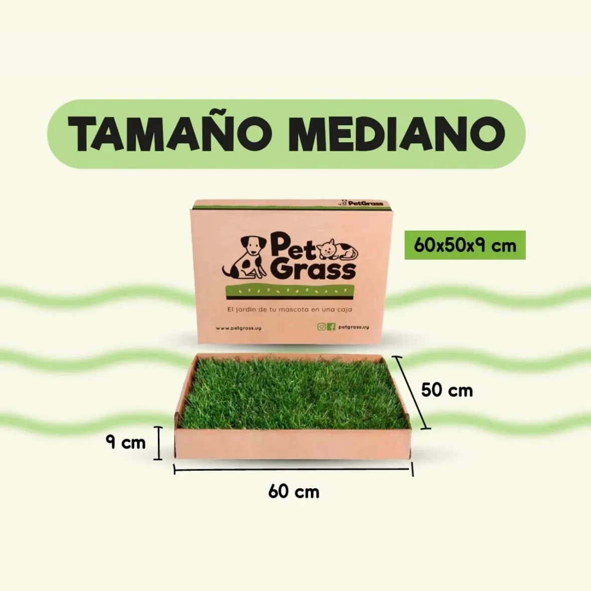 PetGrass para Gatos, Mediano y Grande, Suscripciones - Imagen 2