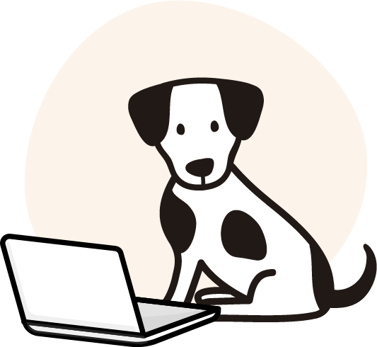 Cesped natural para mascotas