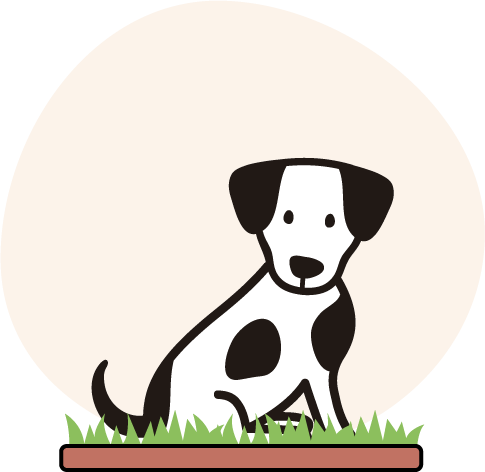 Cesped natural para perros