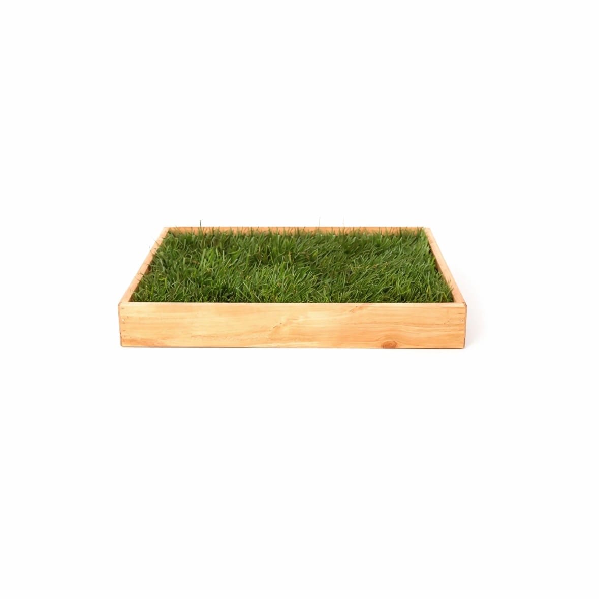 Cajón de Madera Mediano PetGrass - Imagen 2