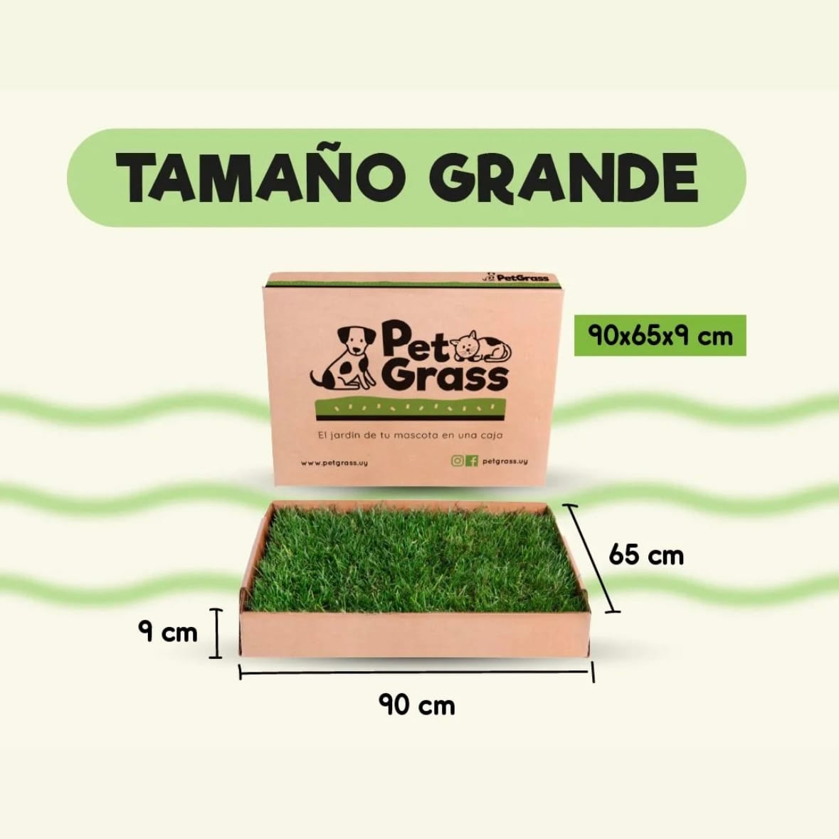 PetGrass Grande Plan Básico