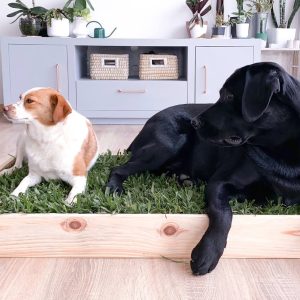 Cajón de madera PetGrass Grande