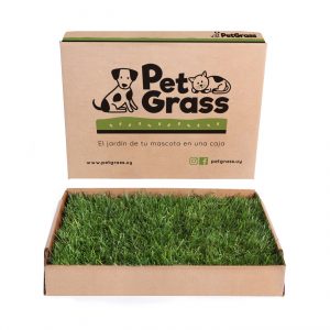 Cesped para Mascotas Montevideo Uruguay